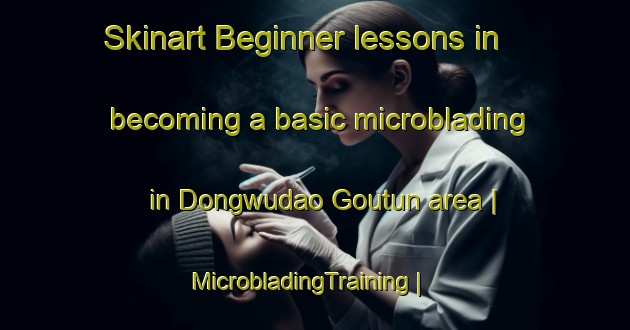 Skinart Beginner lessons in becoming a basic microblading in Dongwudao Goutun area | MicrobladingTraining | MicrobladingClasses | SkinartTraining-China